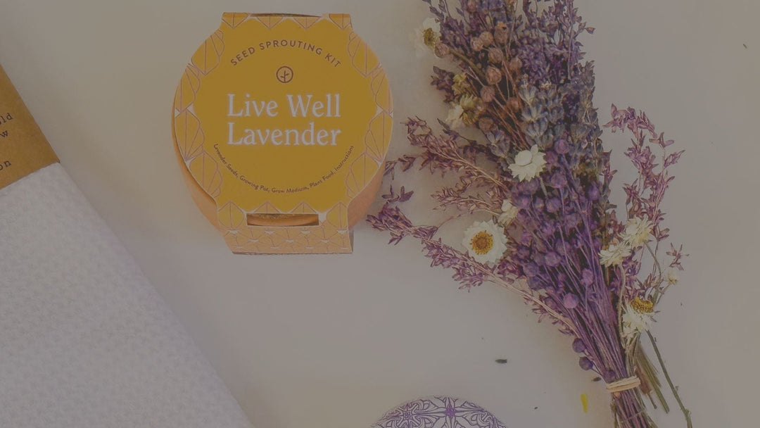 A photo showing lavender items 