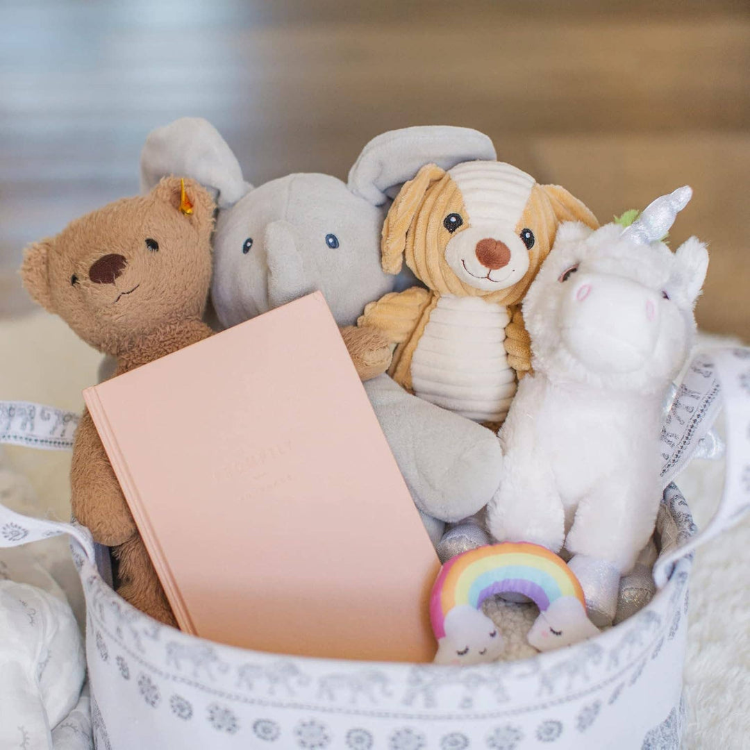A Complete Childhood History: Pregnancy to 18 Years Journal : Sand Linen