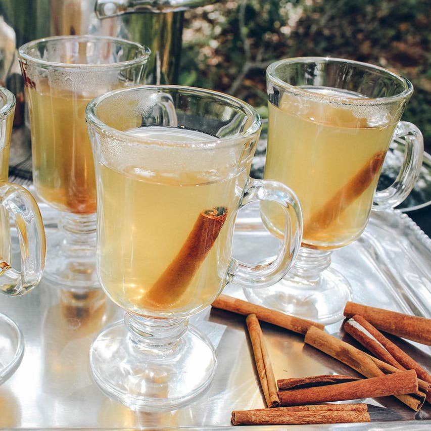 Lemon Ginger Hot Toddy - 1 Gallon Package