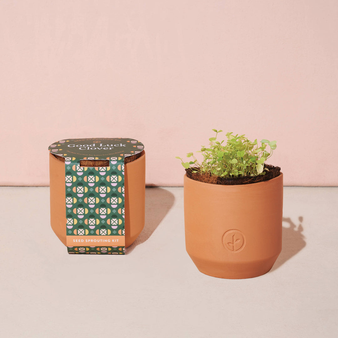 Tiny Terracotta Grow Kits: Live Well Lavender
