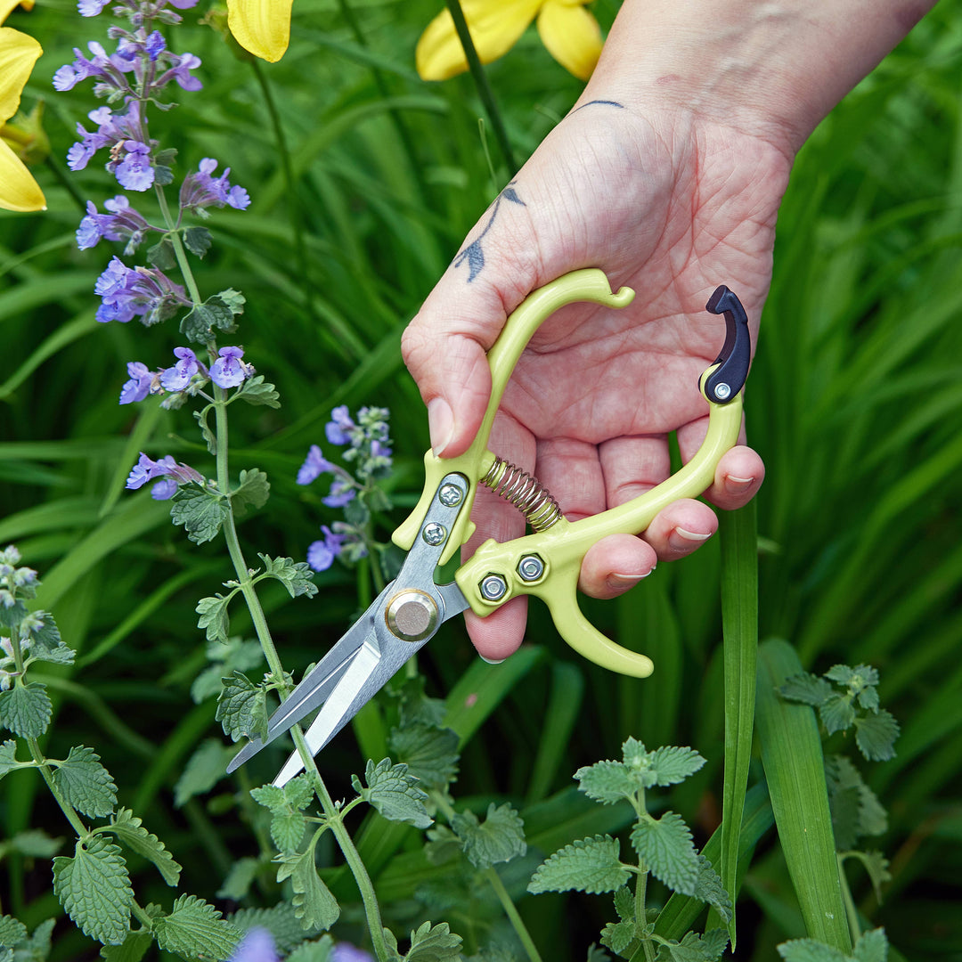 New Colors! Garden Shears : Sage