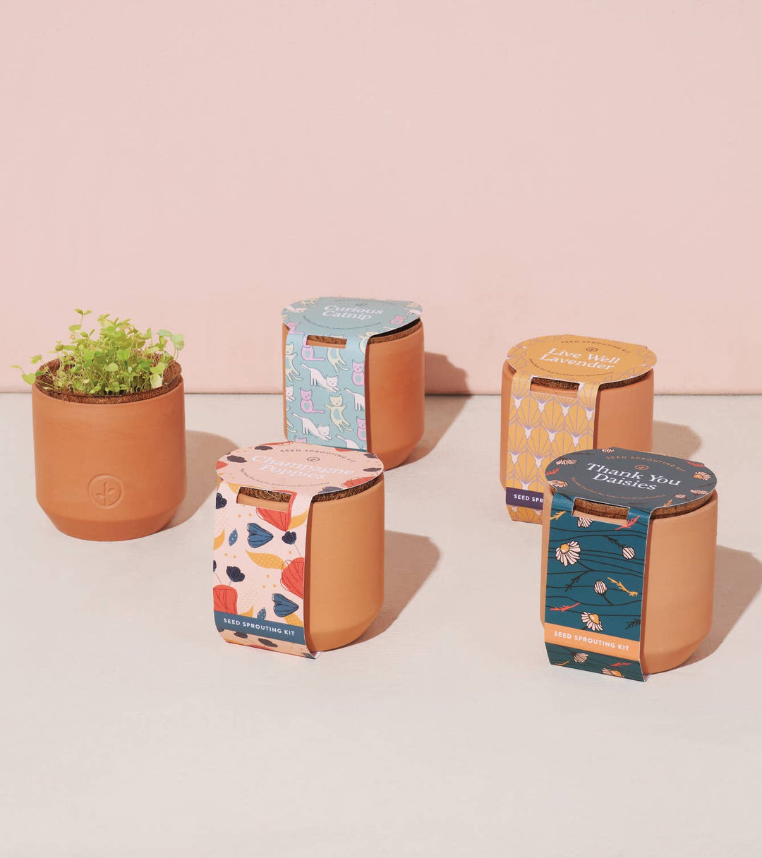 Tiny Terracotta Grow Kits: Live Well Lavender
