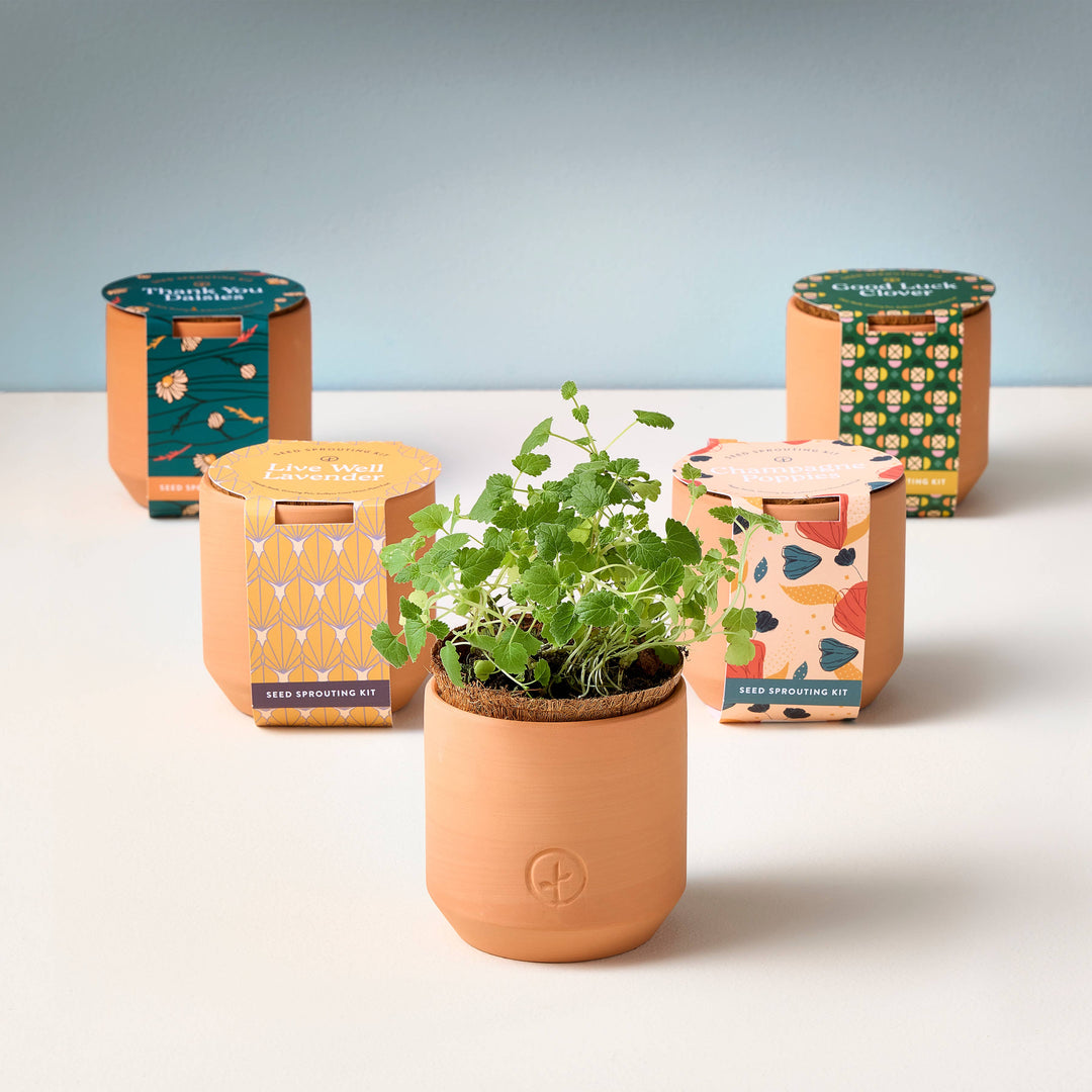Tiny Terracotta Grow Kits: Live Well Lavender