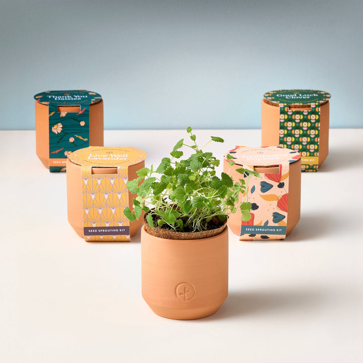 Tiny Terracotta Grow Kits: Live Well Lavender