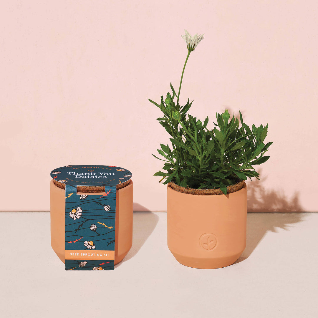Tiny Terracotta Grow Kits: Live Well Lavender