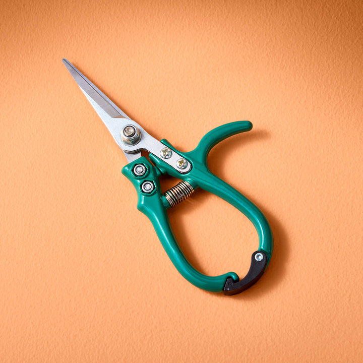 New Colors! Garden Shears : Sage