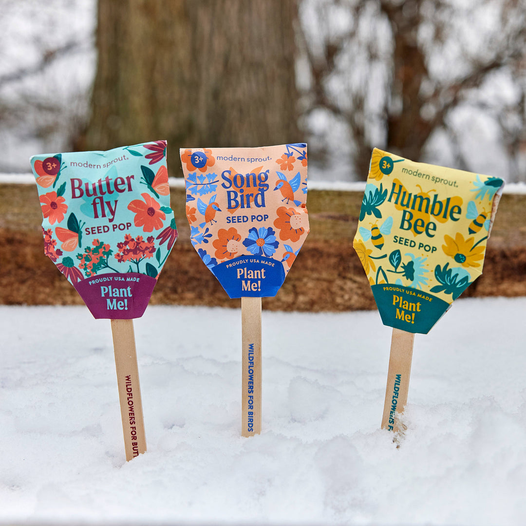 Pollinator Seed Pop (Single): Butterfly