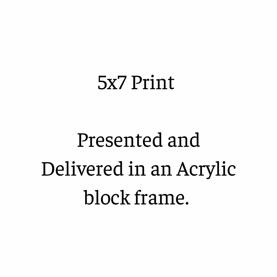 5x7 Professional Print in Acrylic Block Frame