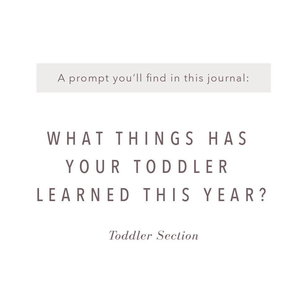 A Complete Childhood History: Pregnancy to 18 Years Journal : Sand Linen