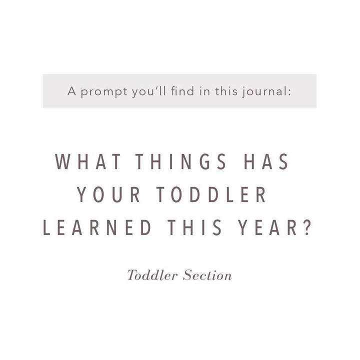 A Complete Childhood History: Pregnancy to 18 Years Journal : Sand Linen