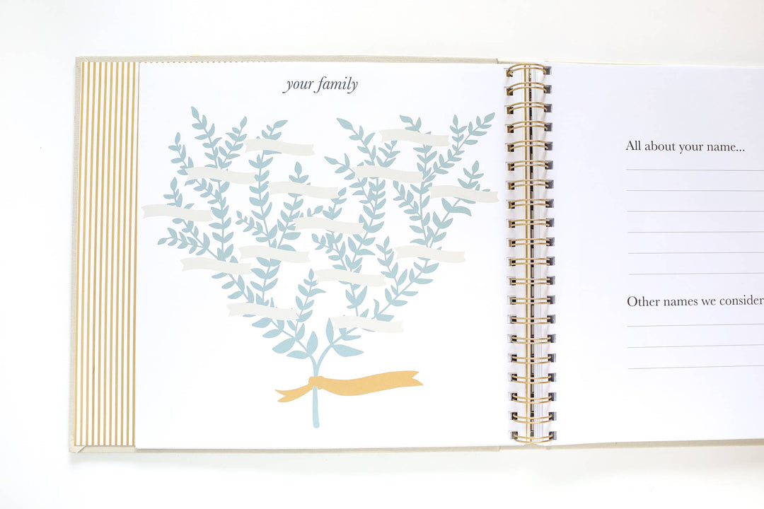 Open book with a family tree illustration on a white background