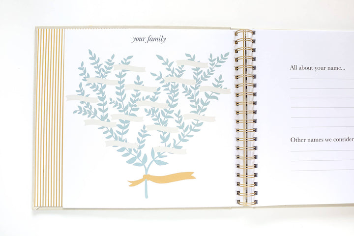 Open book with a family tree illustration on a white background