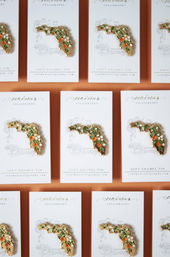 Set of brooches shaped like Florida on white cards 