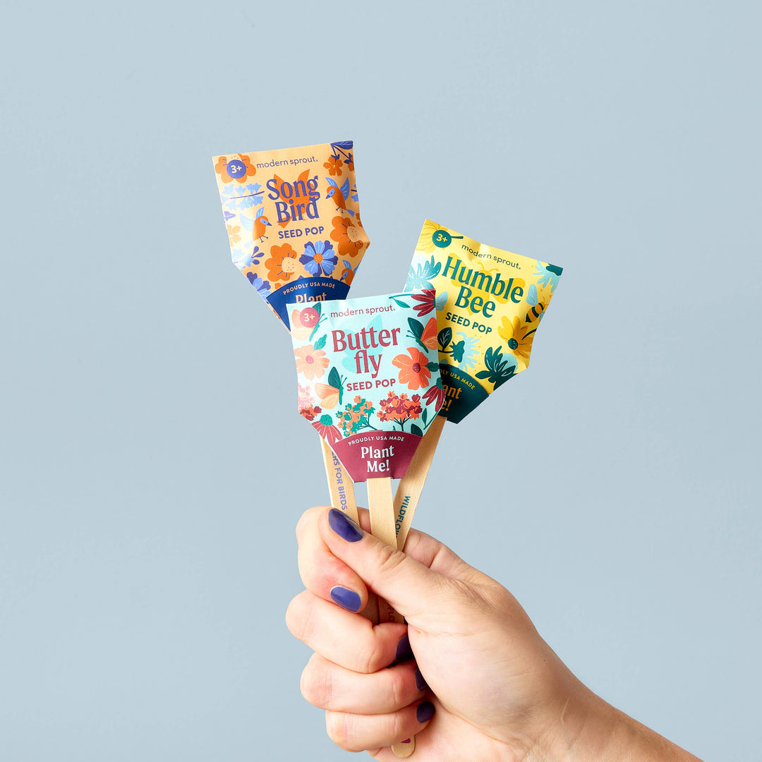 Pollinator Seed Pop (Single): Butterfly