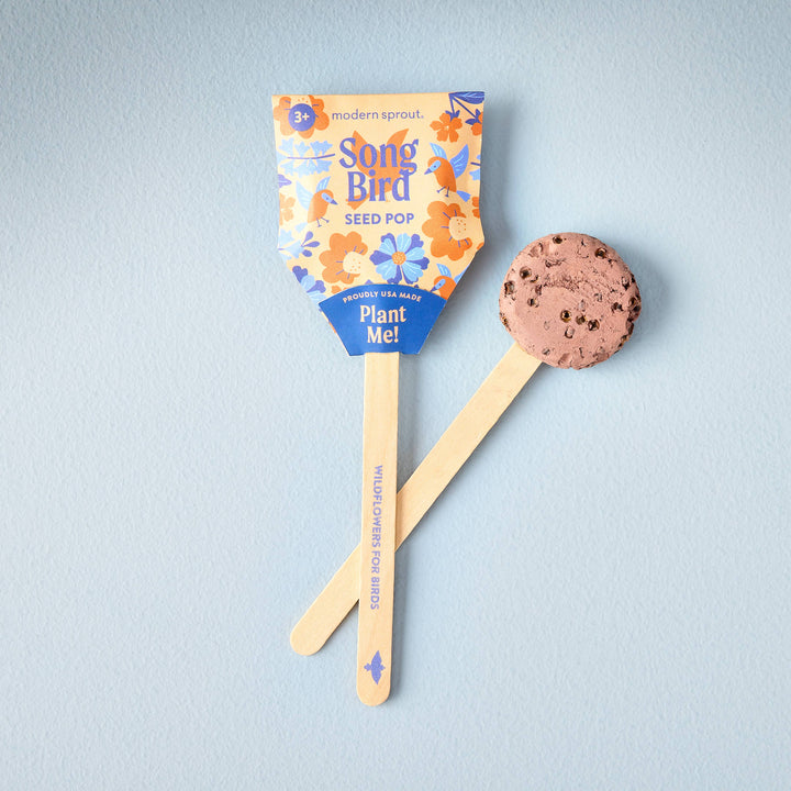 Pollinator Seed Pop (Single): Butterfly