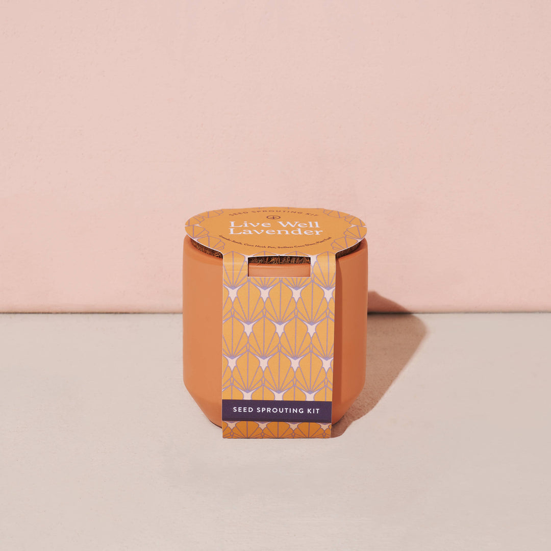 Tiny Terracotta Grow Kits: Thank You Daisy