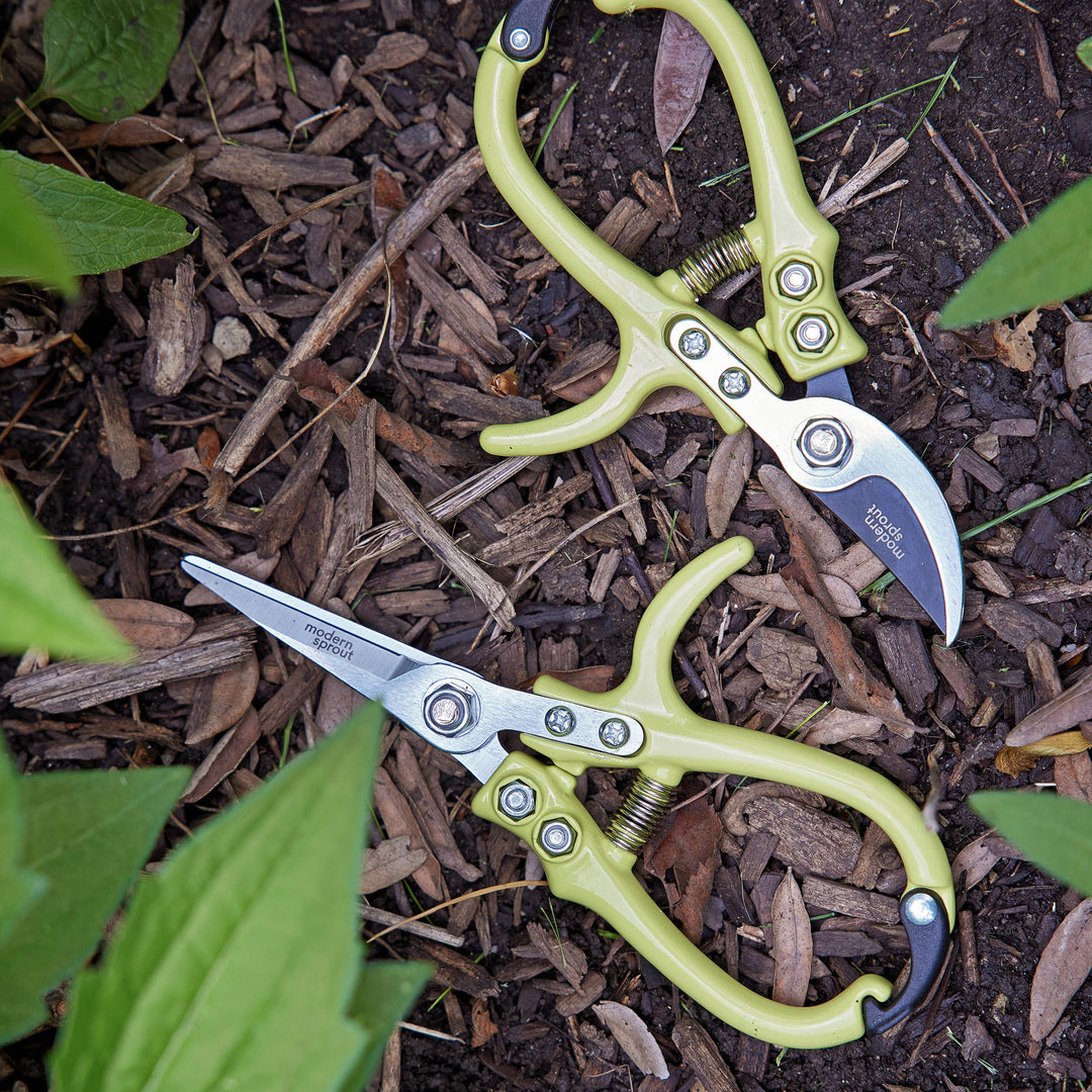 New Colors! Garden Shears : Sage