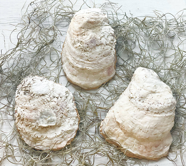 Lavender Bunch Oyster Trinket Dish