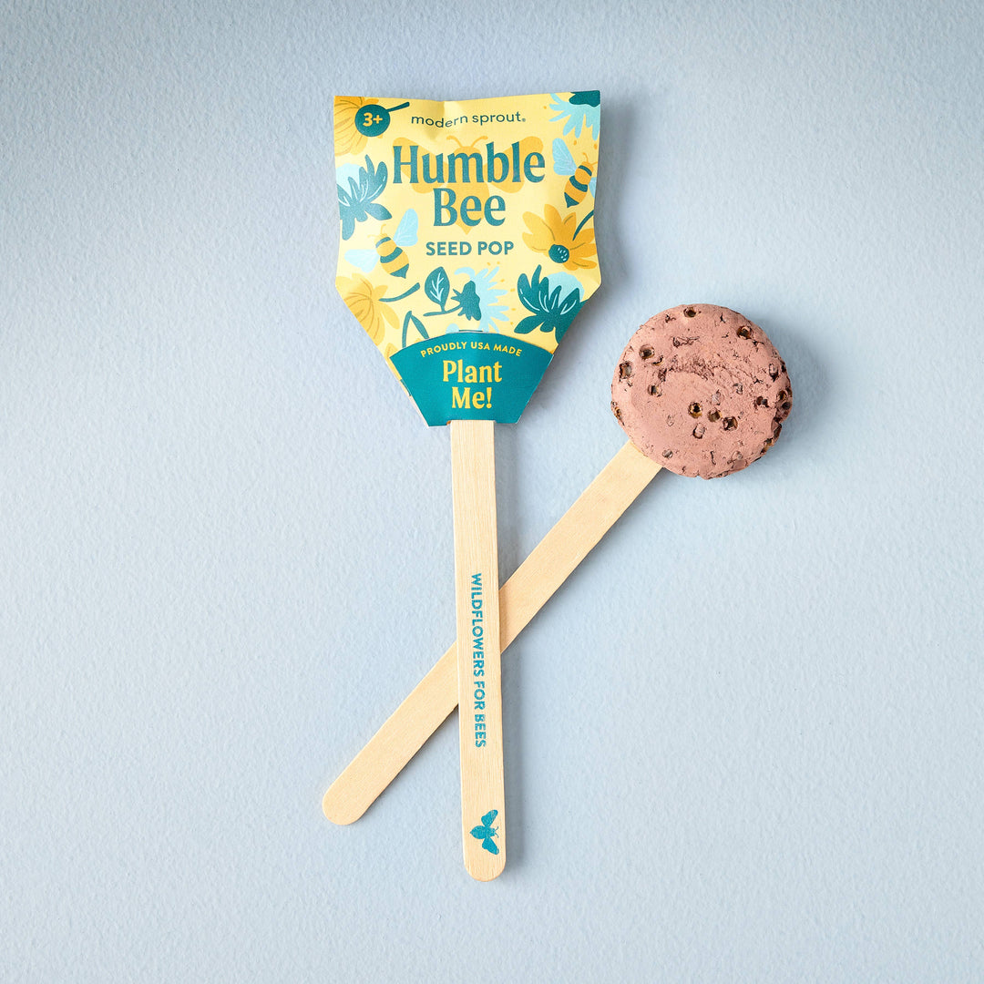 Pollinator Seed Pop (Single): Butterfly